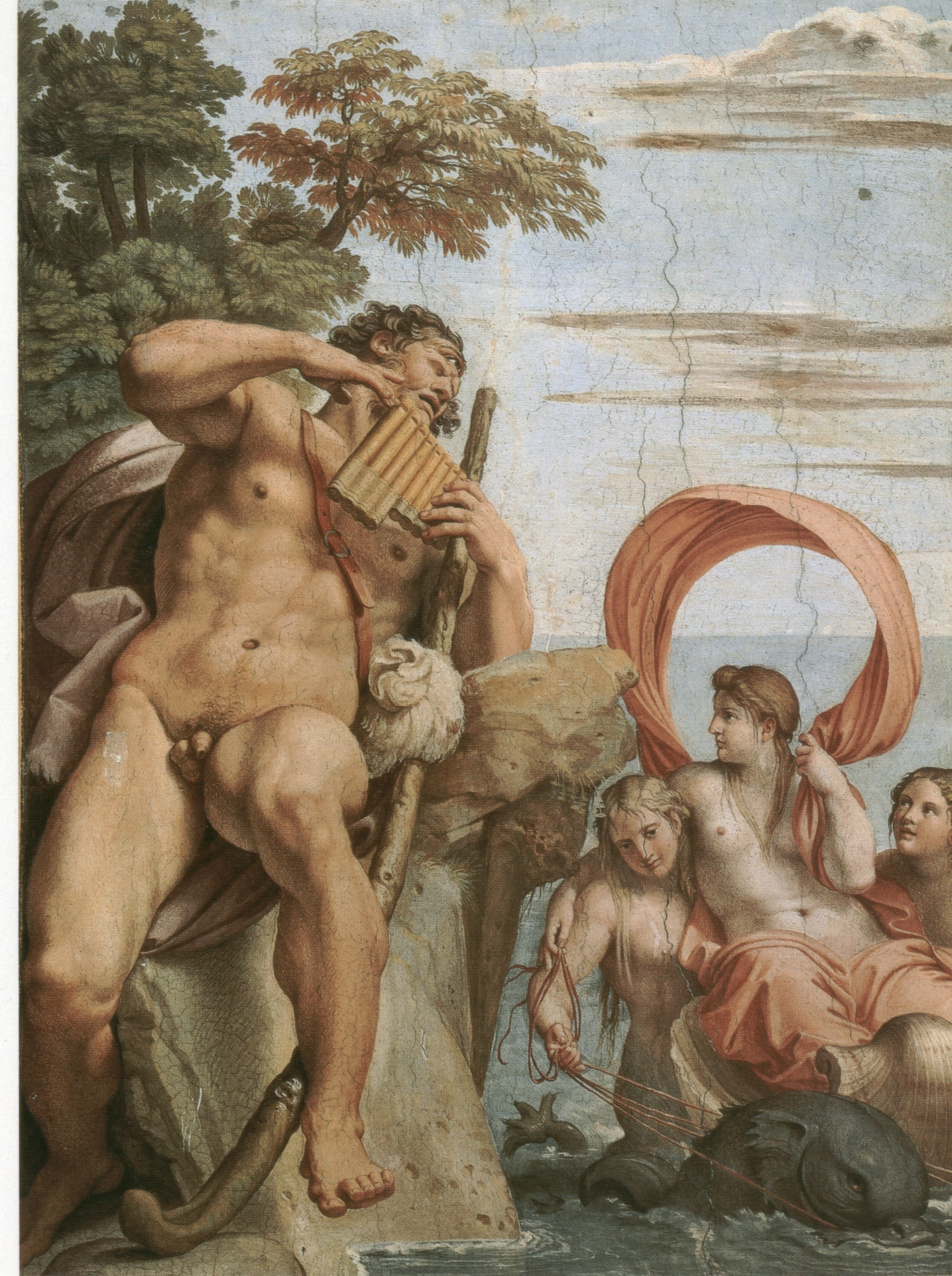 Polyphemus  in love